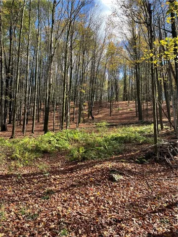 $239,000 | 0 Baker Road, Otego, NY 13825