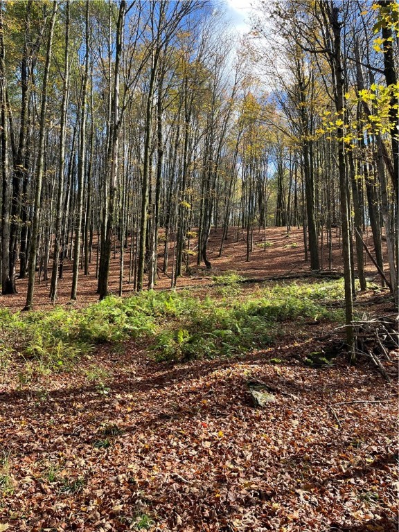 0 Baker Road Otego, NY 13825 - Photo 17 of 39