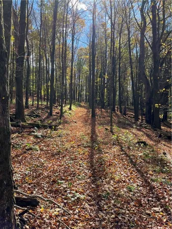 $239,000 | 0 Baker Road, Otego, NY 13825