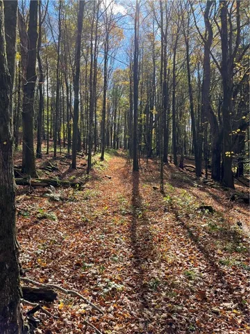 $239,000 | 0 Baker Road, Otego, NY 13825