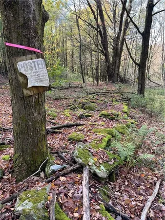 $239,000 | 0 Baker Road, Otego, NY 13825