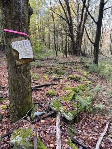 $239,000 | 0 Baker Road, Otego, NY 13825