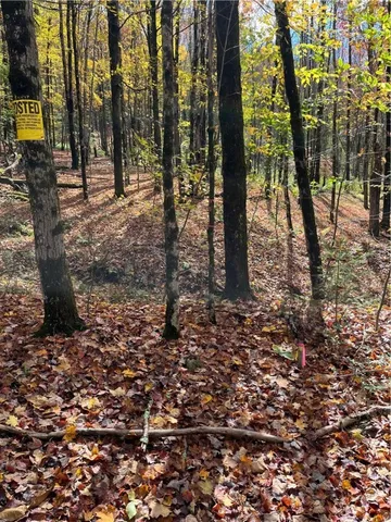 $239,000 | 0 Baker Road, Otego, NY 13825