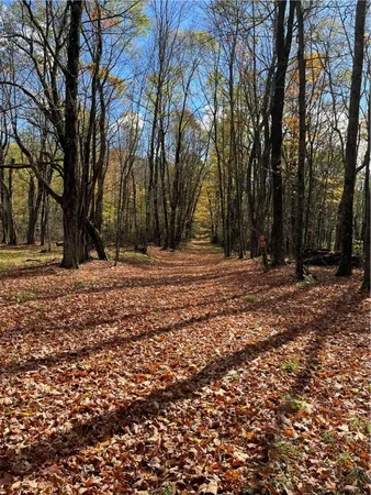 $239,000 | 0 Baker Road, Otego, NY 13825