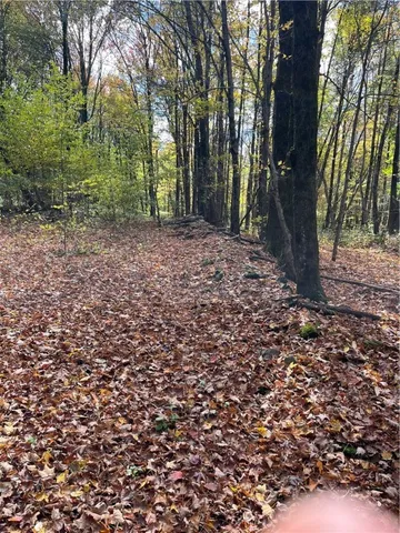 $239,000 | 0 Baker Road, Otego, NY 13825