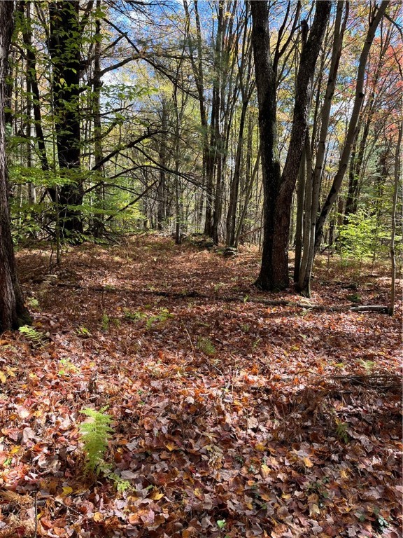 0 Baker Road Otego, NY 13825 - Photo 26 of 39