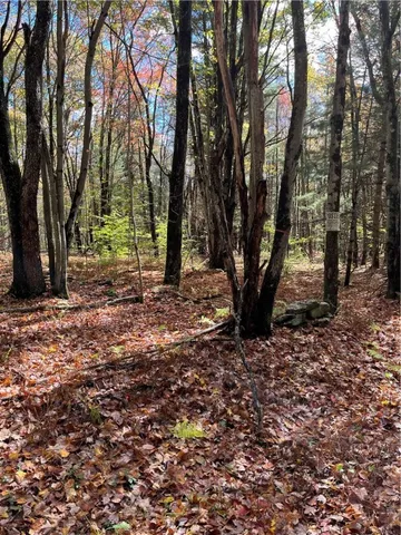 $239,000 | 0 Baker Road, Otego, NY 13825