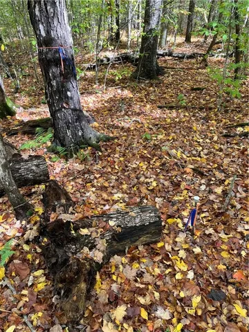 $239,000 | 0 Baker Road, Otego, NY 13825