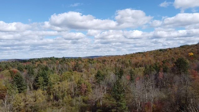 0 Baker Road Otego, NY 13825 - Photo 30 of 39