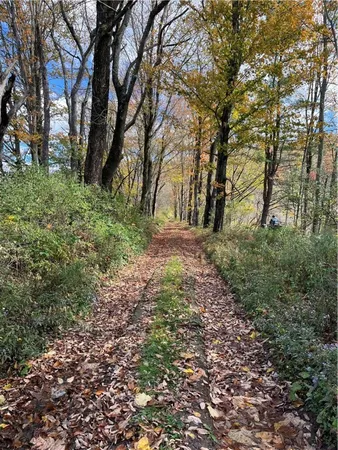 $239,000 | 0 Baker Road, Otego, NY 13825