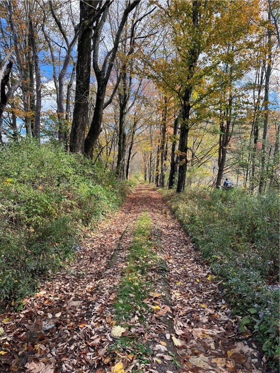 0 Baker Road Otego, NY 13825 - Photo 3 of 39