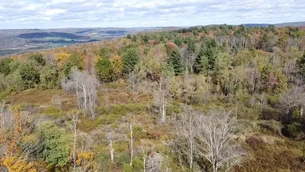 $239,000 | 0 Baker Road, Otego, NY 13825