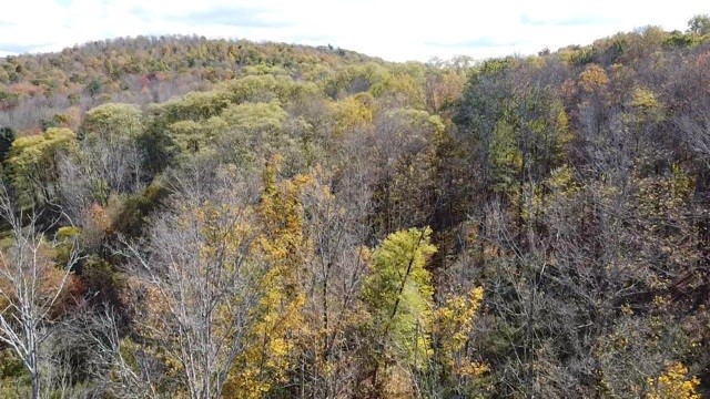 0 Baker Road Otego, NY 13825 - Photo 34 of 39