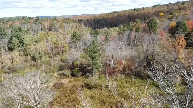 $239,000 | 0 Baker Road, Otego, NY 13825