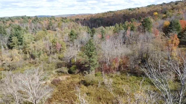 0 Baker Road Otego, NY 13825 - Photo 35 of 39