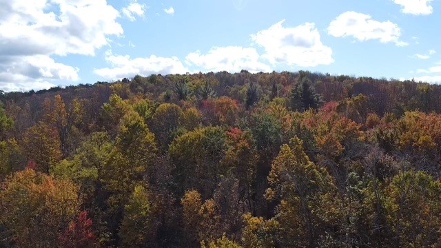 0 Baker Road Otego, NY 13825 - Photo 38 of 39