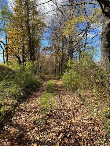 $239,000 | 0 Baker Road, Otego, NY 13825