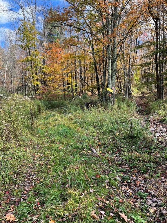 0 Baker Road Otego, NY 13825 - Photo 5 of 39