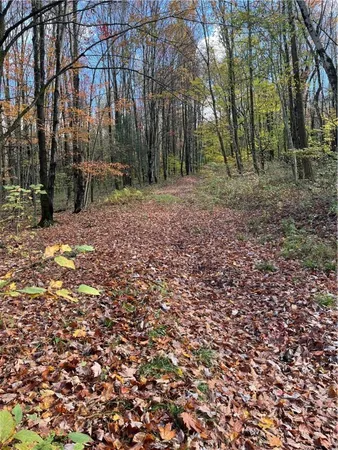 $239,000 | 0 Baker Road, Otego, NY 13825