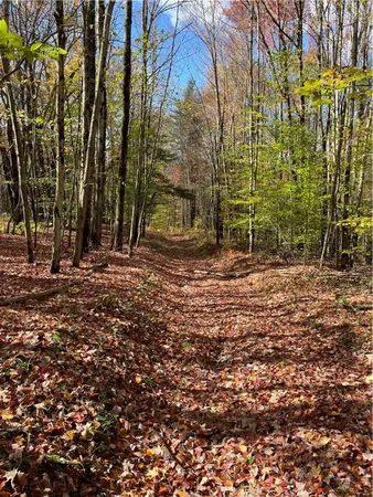 $239,000 | 0 Baker Road, Otego, NY 13825