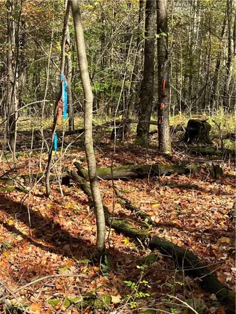 $239,000 | 0 Baker Road, Otego, NY 13825