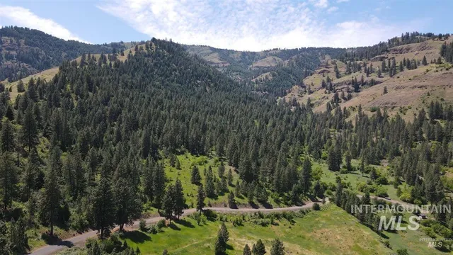 $159,900 | Tbd Saddle Ridge Road, White Bird, ID 83554