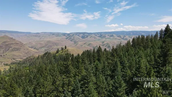 $159,900 | Tbd Saddle Ridge Road, White Bird, ID 83554