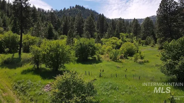 $159,900 | Tbd Saddle Ridge Road, White Bird, ID 83554