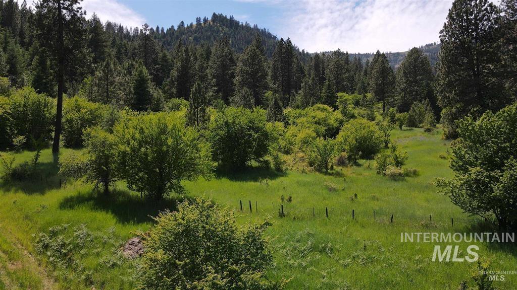 Tbd Saddle Ridge Road White Bird, ID 83554 - Photo 14 of 14
