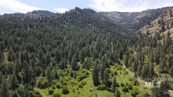 $159,900 | Tbd Saddle Ridge Road, White Bird, ID 83554