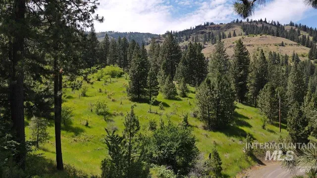 $159,900 | Tbd Saddle Ridge Road, White Bird, ID 83554