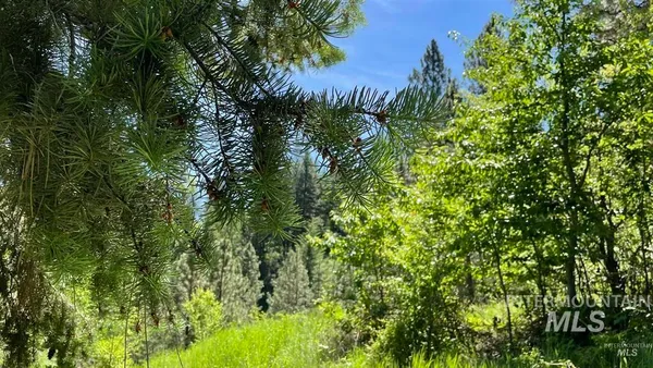 $159,900 | Tbd Saddle Ridge Road, White Bird, ID 83554