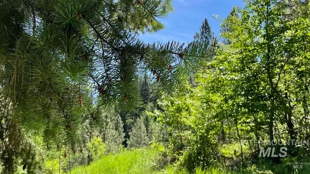 $159,900 | Tbd Saddle Ridge Road, White Bird, ID 83554