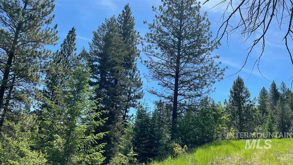 $159,900 | Tbd Saddle Ridge Road, White Bird, ID 83554