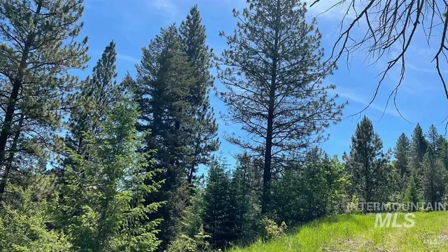 $159,900 | Tbd Saddle Ridge Road, White Bird, ID 83554
