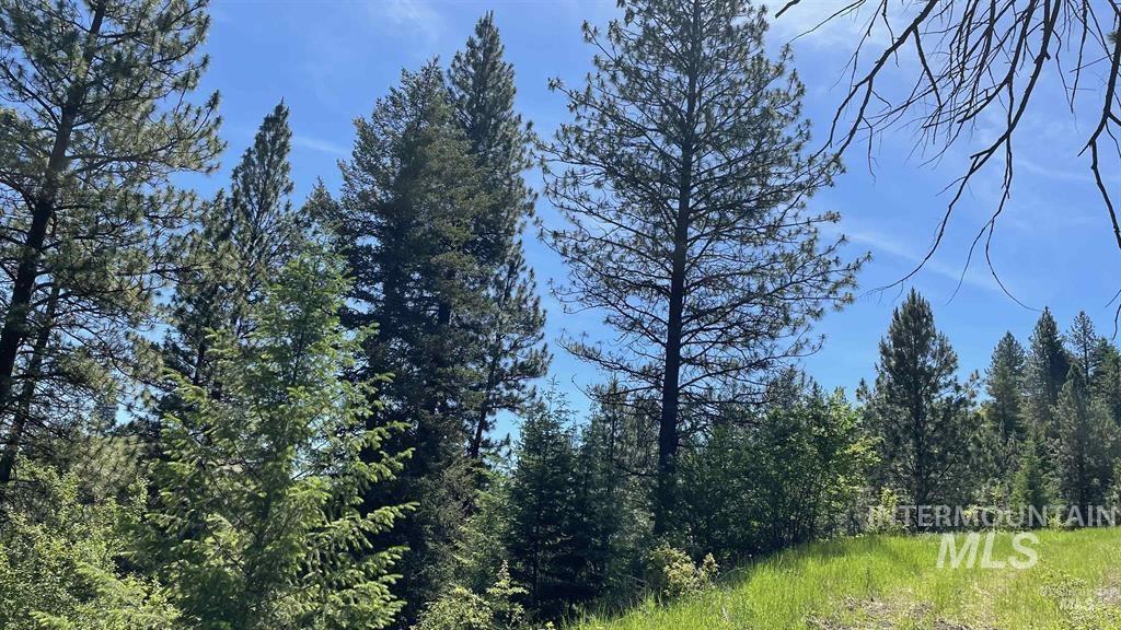 Tbd Saddle Ridge Road White Bird, ID 83554 - Photo 7 of 14