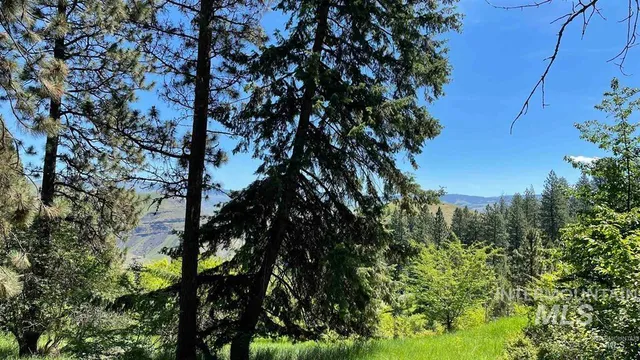 $159,900 | Tbd Saddle Ridge Road, White Bird, ID 83554