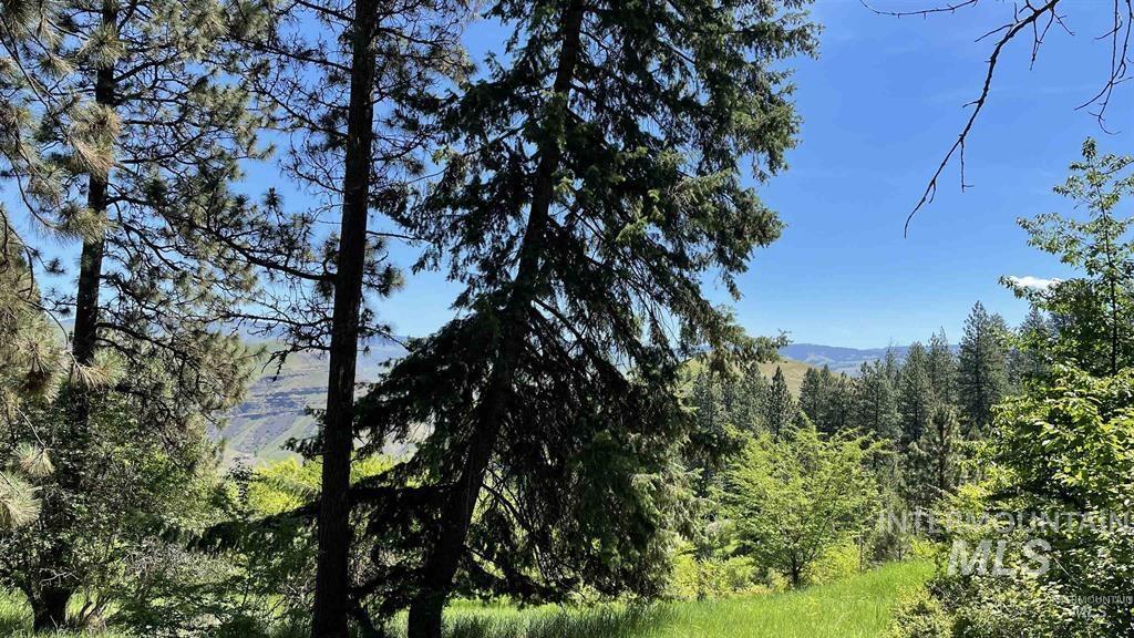 Tbd Saddle Ridge Road White Bird, ID 83554 - Photo 10 of 14