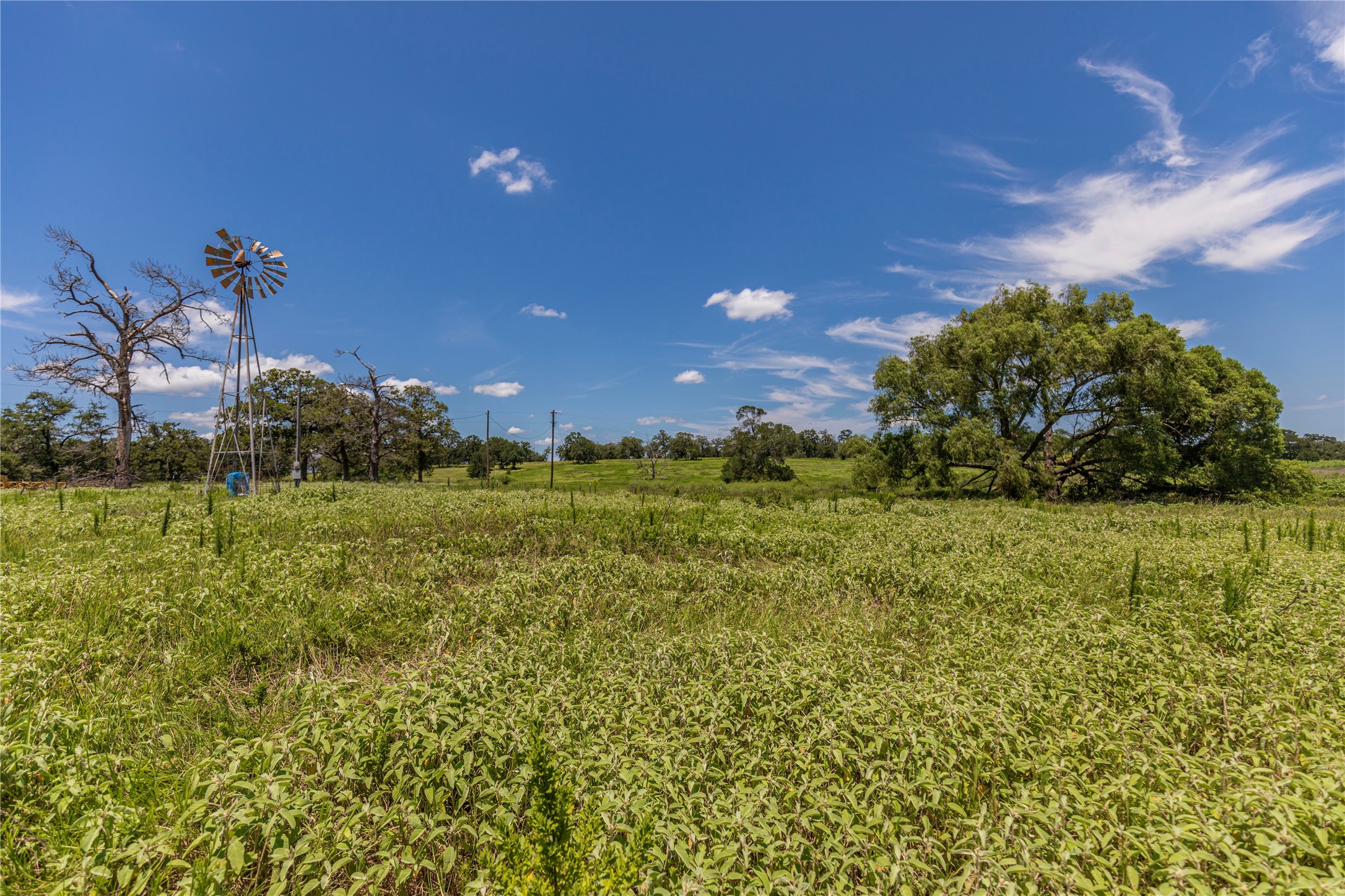 Lot 8 Mill Creek Ranch Road Bellville, TX 77418 - Photo 7 of 20