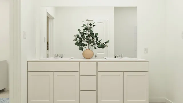 a bathroom with a sink a mirror and a potted plant