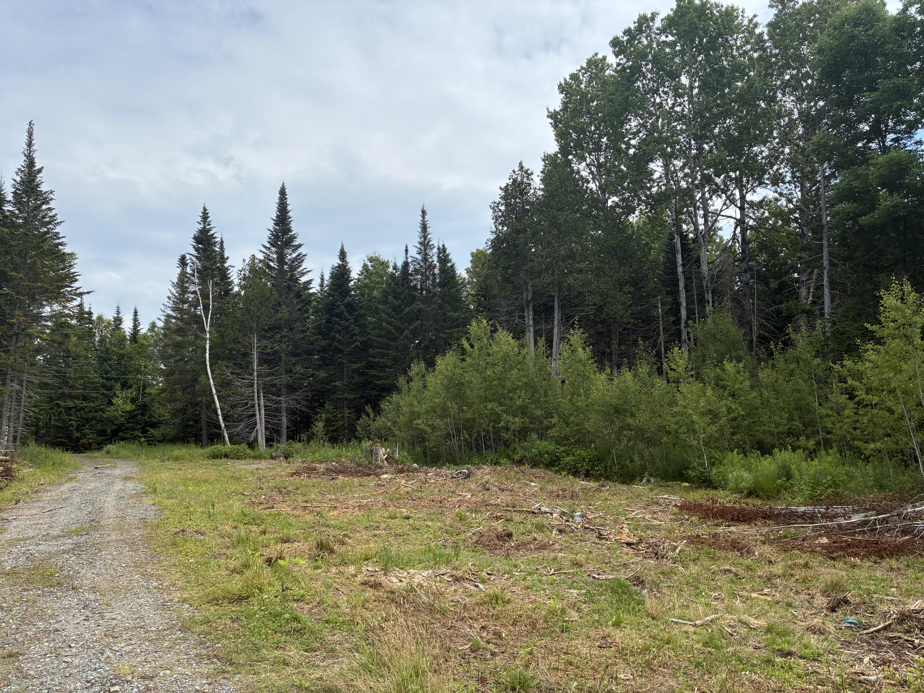Lot 56 Gile Road Rangeley, ME 04970 - Photo 16 of 21 IMG_1514