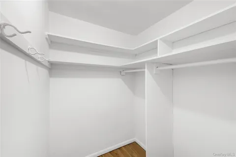 a view of an empty walk in closet