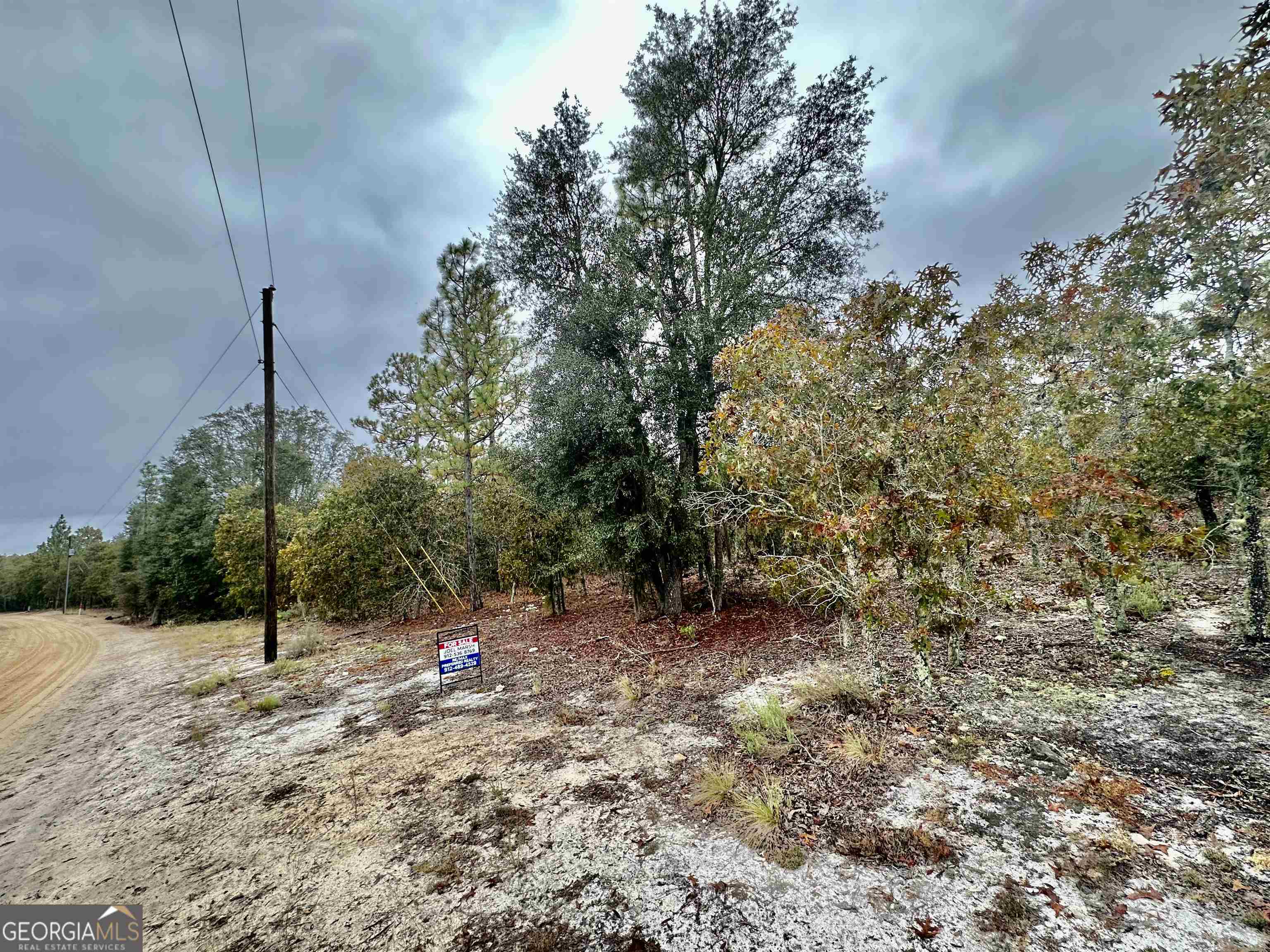 0 Coleman Bridge Road Cobbtown, GA 30420 - Photo 1 of 1 Gallery Image 1