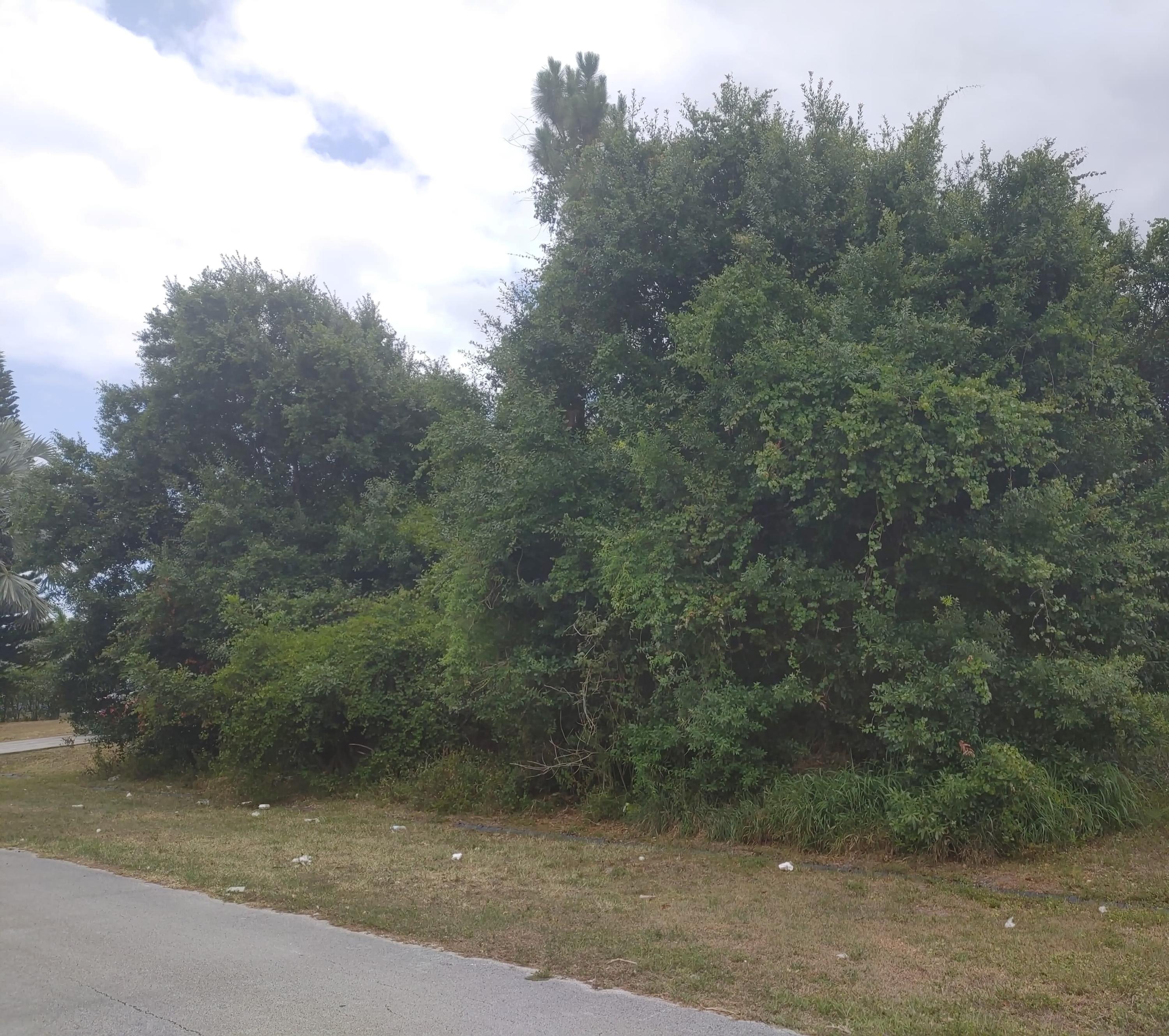 Tbd Southwest Longfellow Road Port St. Lucie, FL 34953 - Photo 1 of 1 longfellow1