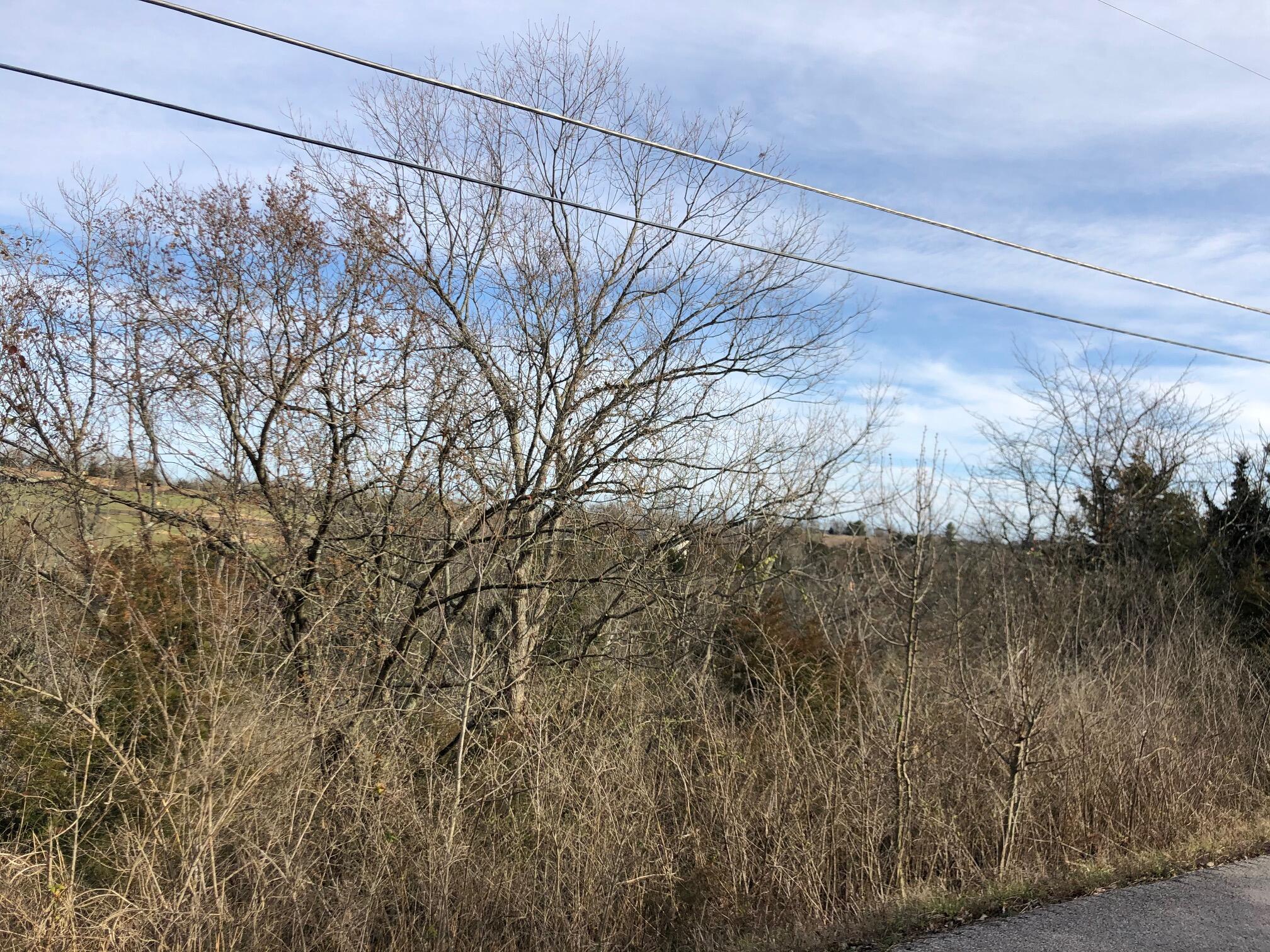 9 Taylor Road Danville, KY 40422 - Photo 2 of 4 IMG_6847