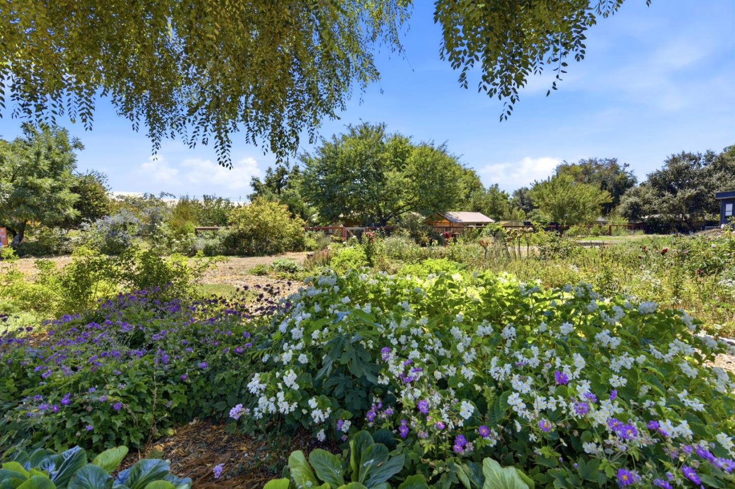 10095 Monterey Road Gilroy, CA 95020 - Photo 15 of 28 Gallery Image 15