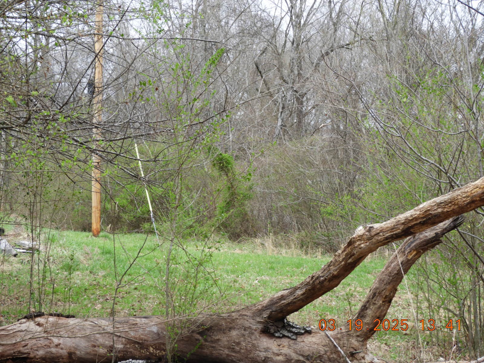 701 Oak Grove Road Goodspring, TN 38460 - Photo 13 of 17 a backyard of a house with lots of green space