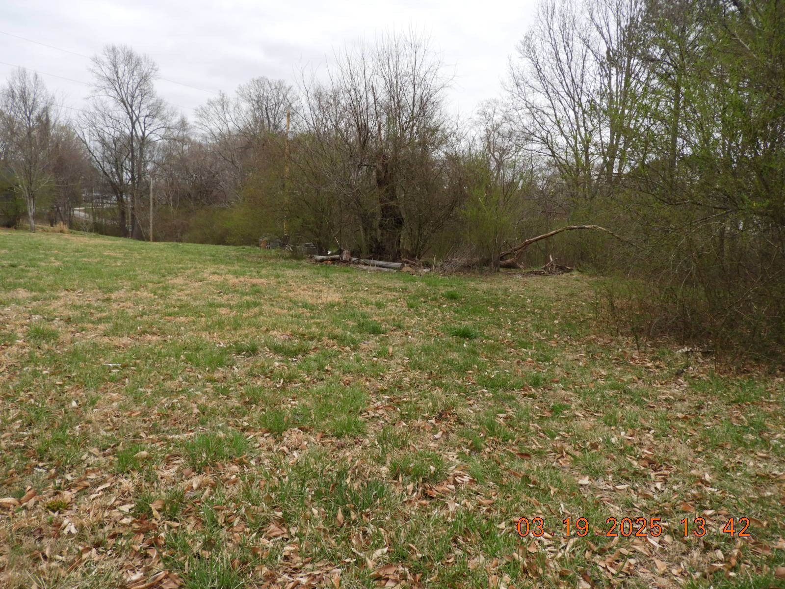 701 Oak Grove Road Goodspring, TN 38460 - Photo 15 of 17 a view of a yard