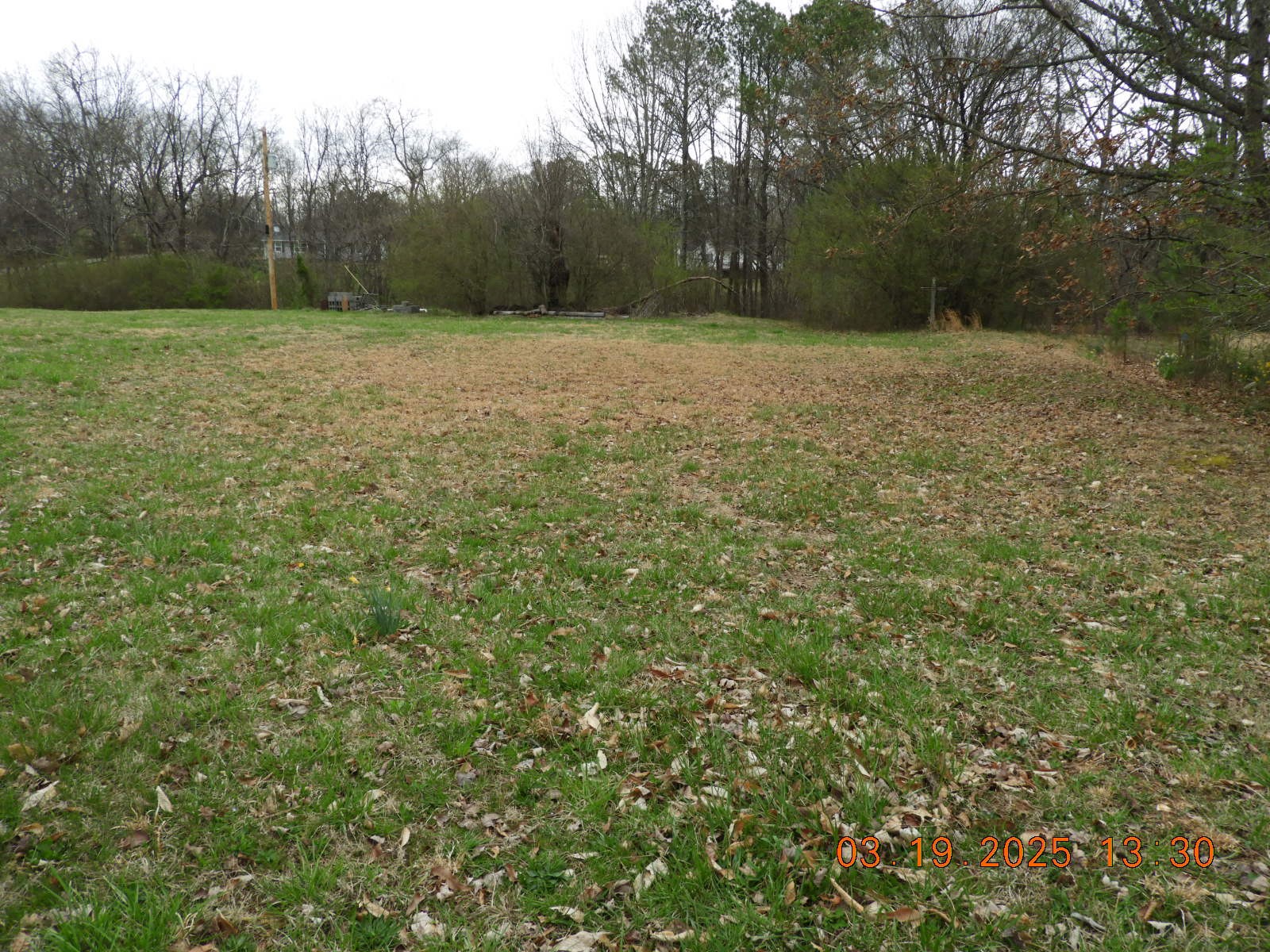 701 Oak Grove Road Goodspring, TN 38460 - Photo 3 of 17 a view of open field with trees in background