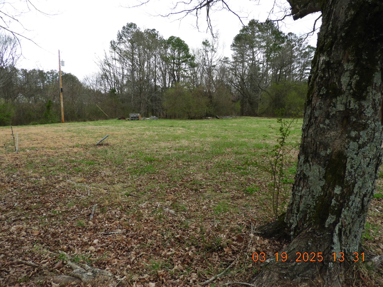 701 Oak Grove Road Goodspring, TN 38460 - Photo 5 of 17 a view of outdoor space and yard